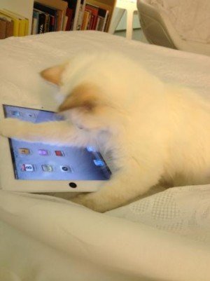 Choupette the Technophile