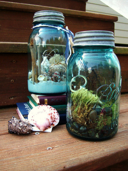 Terrarium Terrarium