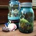 Terrarium