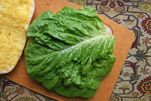 Top With a Large Lettuce Leaf Top With a Large Lettuce Leaf