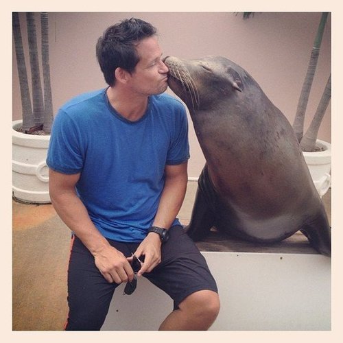 Josh Hopkins Josh Hopkins