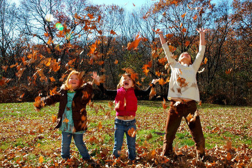All the Kids Tossing Leaves All the Kids Tossing Leaves