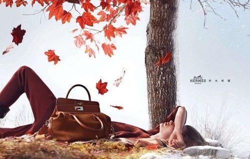Hermès Fall 2012 Ad Campaign Hermès Fall 2012 Ad Campaign