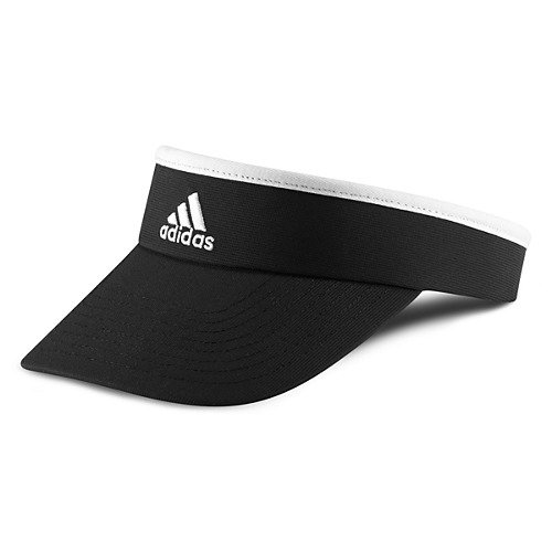 A Visor