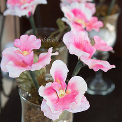Orchids for Sydney