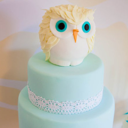 Owl-Themed Baby Shower