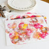 Rosh Hashanah Apple Print Place Mat Craft For Kids