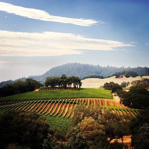 Enjoy Wine Harvest Enjoy Wine Harvest