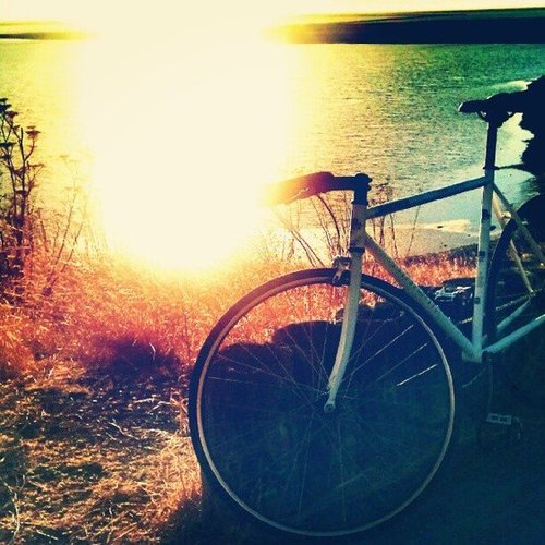 Ride Bikes at Sunset Ride Bikes at Sunset