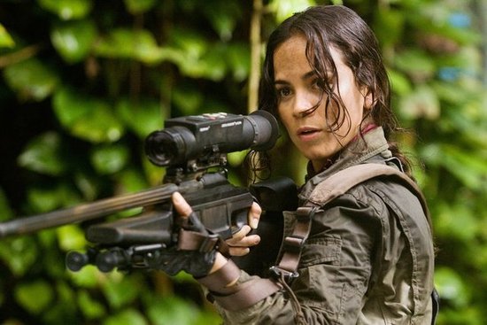 alice braga alice braga