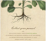 Bridal Shower at Rolling Greens Nursery