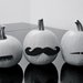 'Stached Pumpkins