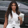 Kim Kardashian Mercy Persian Kitten Pictures