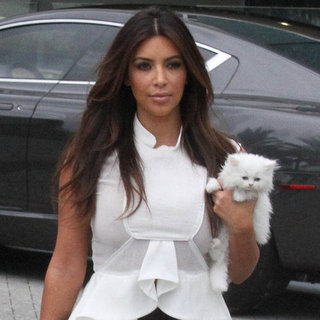 Kim Kardashian Mercy Persian Kitten Pictures
