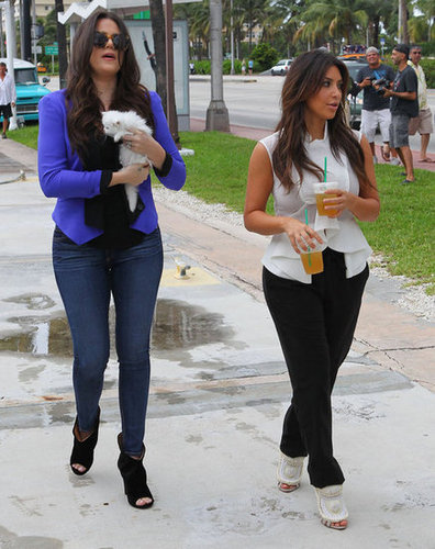 Kim Kardashian Cuddles Up to Her Cute New Companion Mercy Kim Kardashian Cuddles Up to Her Cute New Companion Mercy