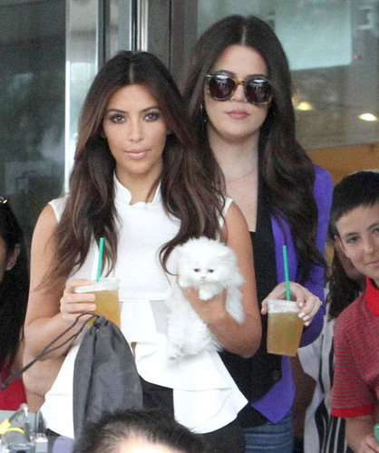 Kim Kardashian Cuddles Up to Her Cute New Companion Mercy Kim Kardashian Cuddles Up to Her Cute New Companion Mercy