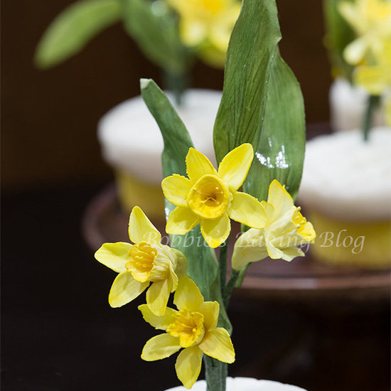 daffodil cupcakes daffodil cupcakes