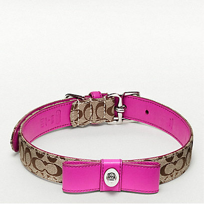 Coach Signature C Turnlock Bow Collar ($68) Coach Signature C Turnlock Bow Collar ($68)