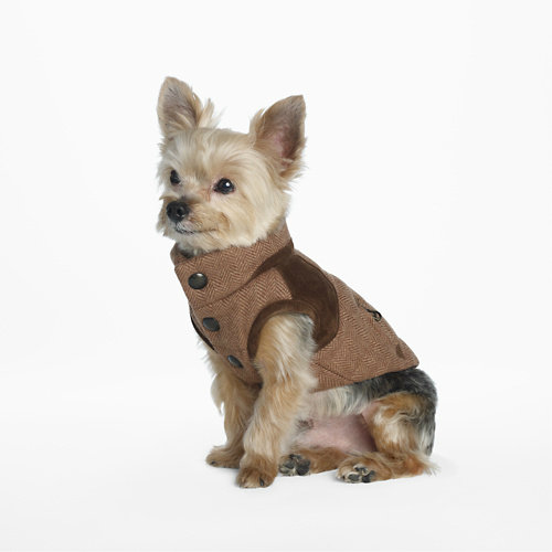 Ralph Lauren Tweed Dog Vest ($95) Ralph Lauren Tweed Dog Vest ($95)
