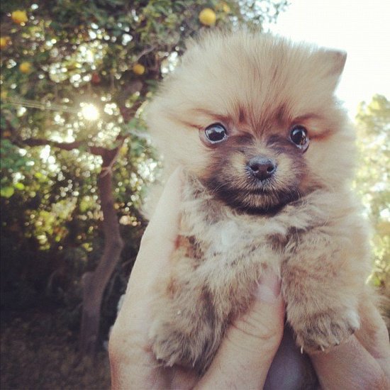Squeeze Me! I'm Yours Squeeze Me! I'm Yours