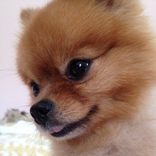 I'm Ready For My Close-Up! I'm Ready For My Close-Up!