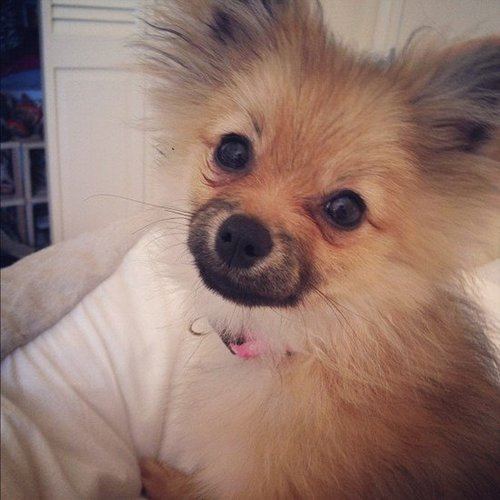 You Caught Me in My Morning Face You Caught Me in My Morning Face
