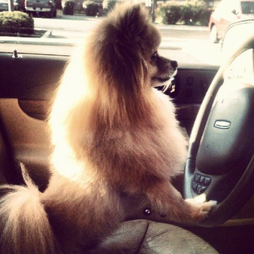 Where Are We Going Next? Where Are We Going Next?
