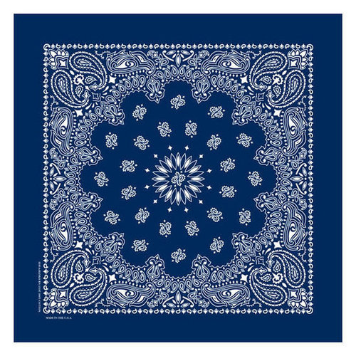 Paisley Bandanna ($2)