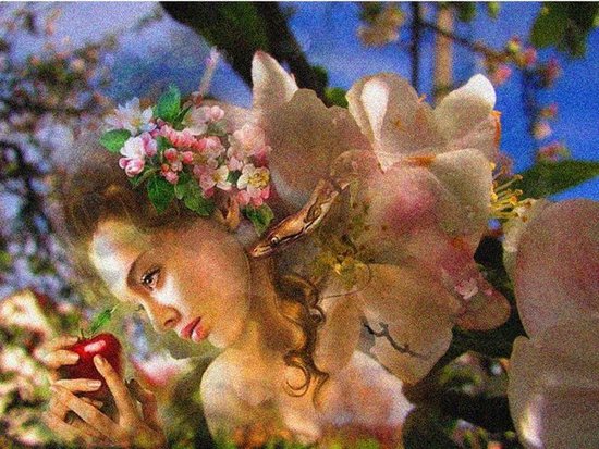 Absolutely Eve (III)