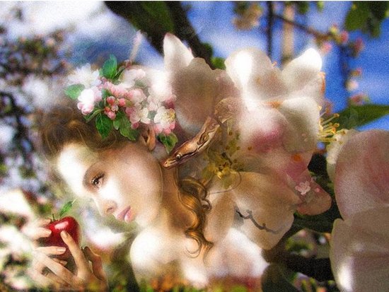 Absolutely Eve (V)