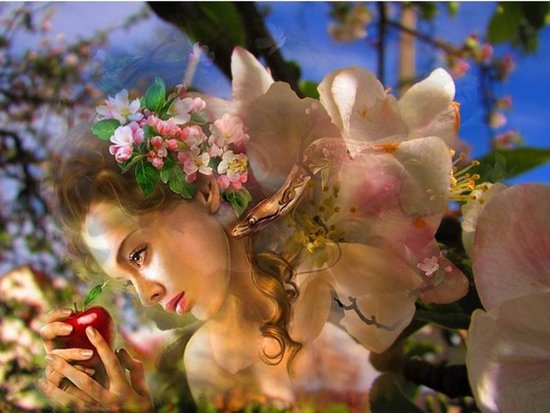 Absolutely Eve (II)