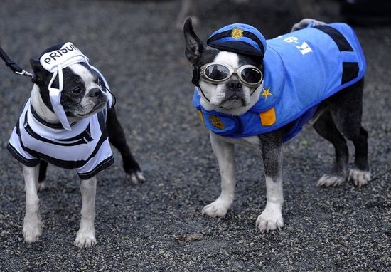 Cop and Robber Cop and Robber