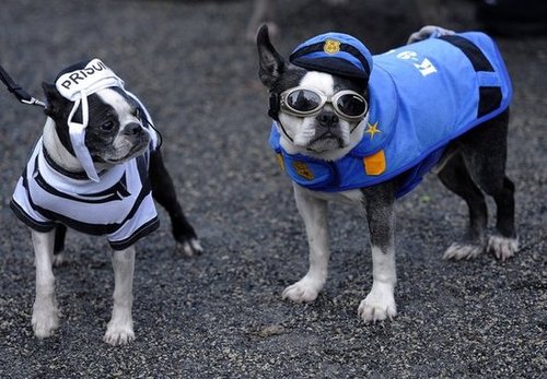 Cop and Robber Cop and Robber