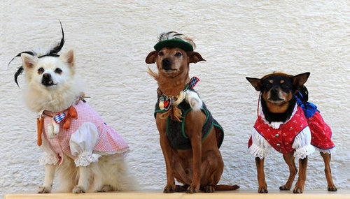 Oktoberfest Oktoberfest