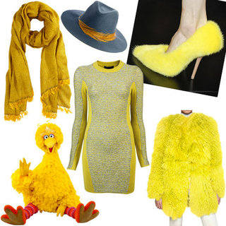 Big Bird in Fashion