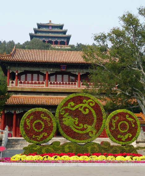 Flower power in China Flower power in China