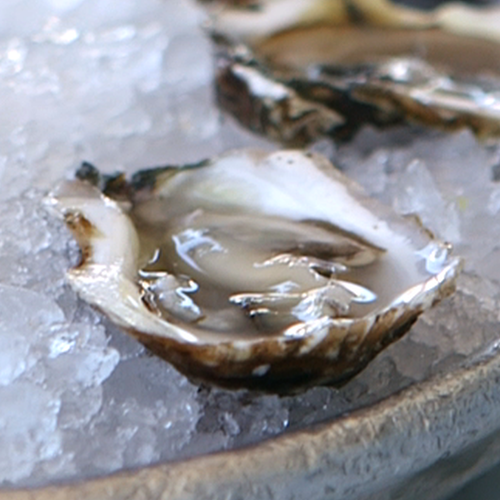How to Shuck Oysters | Video