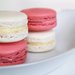 Basic French Macarons 