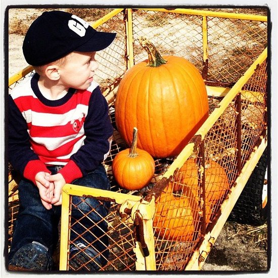 Check Out My Pumpkins!