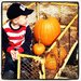 Check Out My Pumpkins!