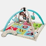 Must-Have Baby Gear Must-Have Baby Gear