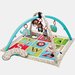 Must-Have Baby Gear