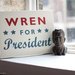 A Political Mentor