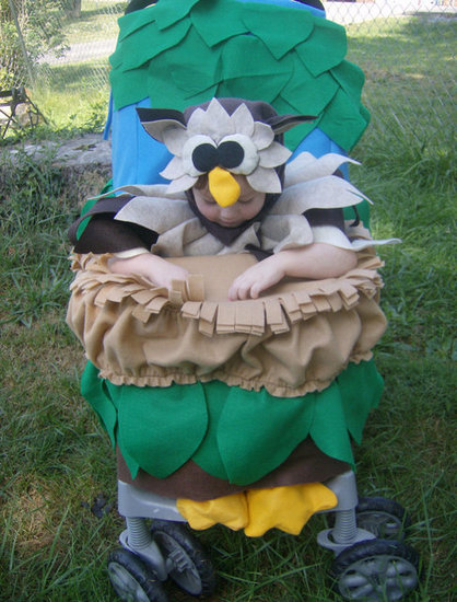 Bird in a Tree