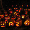 Free Pumpkin Stencils