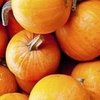 How to Use Leftover Pumpkin Seeds and Pulp