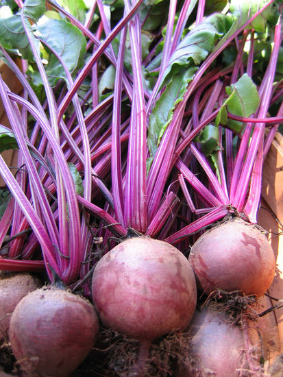 Beets Beets