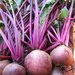 Beets 
