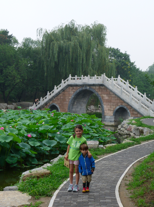 Old Summer Palace Old Summer Palace