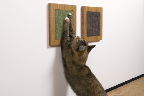 Don't have a lot of space in your house? The Itch scratch pads ($50 each) are mounted flat on your wall and look more like art than cat furniture. An added bonus: you can put catnip behind it or rub some into the pads for added scratching pleasure.
Don't have a lot of space in your house? The Itch scratch pads ($50 each) are mounted flat on your wall and look more like art than cat furniture. An added bonus: you can put catnip behind it or rub some into the pads for added scratching pleasure.